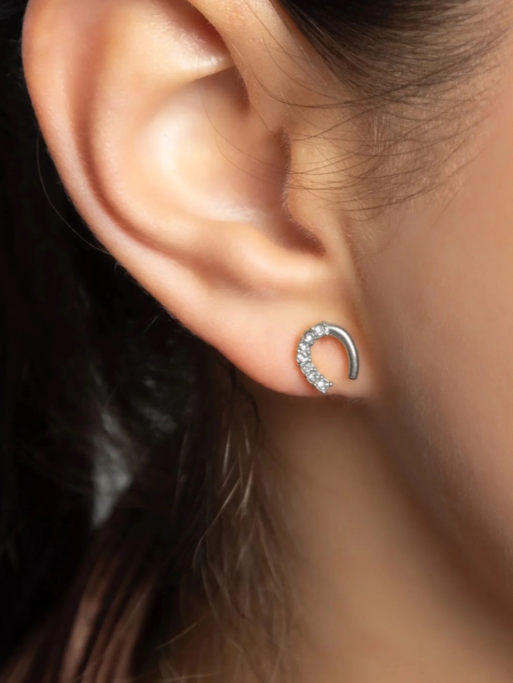 Earrings 18K Gold PVD Stainless Steel Horse Shoe Stone Earrings